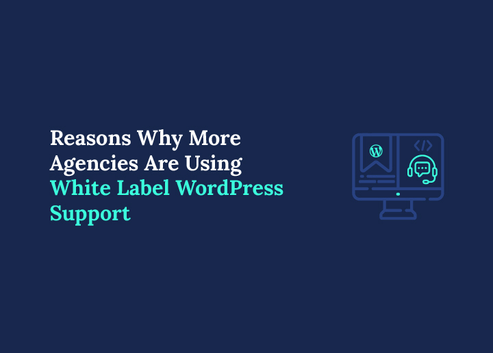Top Reasons Why More Agencies Are Using White Label WordPress Support