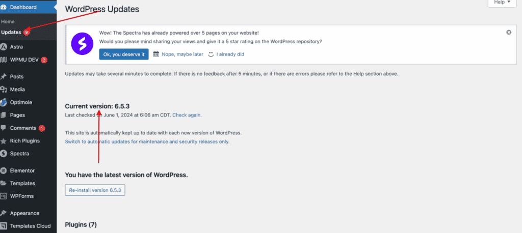 Update WordPress Plugins