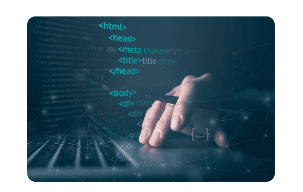 Web Developers in San Diego