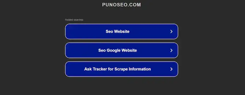 Puno SEO