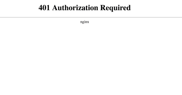 401 Unauthorized Error