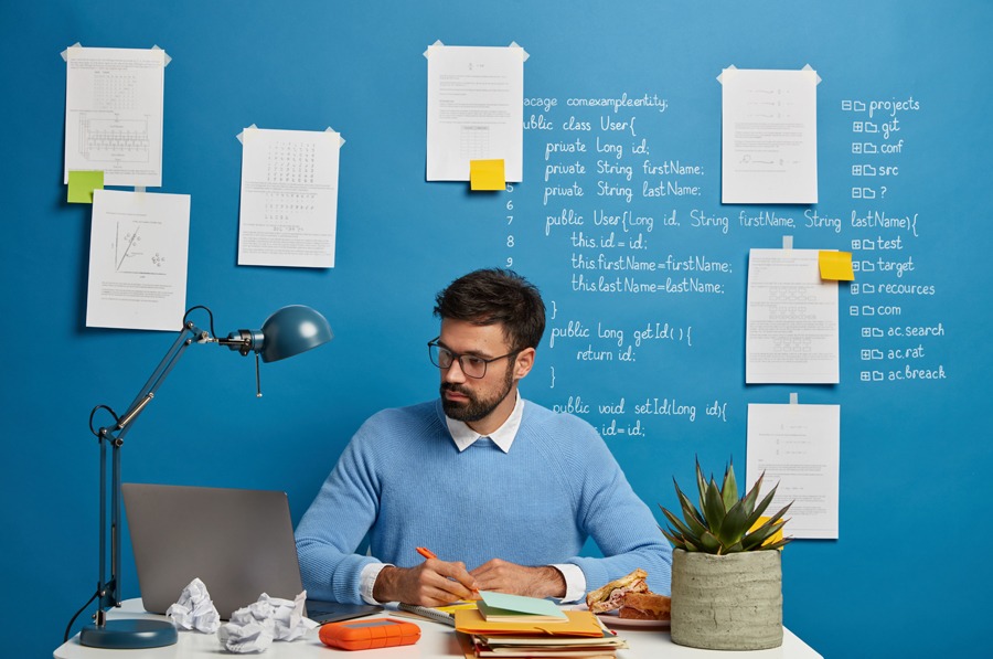 Content Writing - Seahawk Content Writing