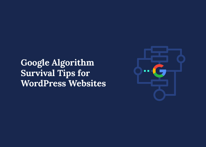 Google Algorithm Survival Tips for WordPress Websites