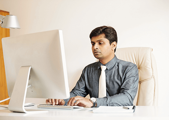 Experienced Elementor Specialists