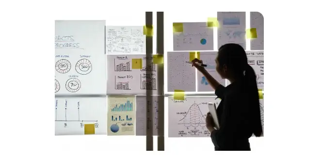 Pre website redesign Planning and Analysis