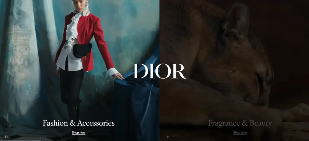 Diors website - Seahawk Dior's website