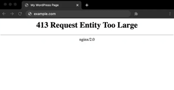 Fix 413 Request Entity Too Large Error