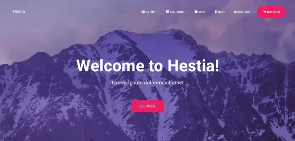 Top Fastest WordPress Themes for 2026 (Free and Premium) 90 Hestia