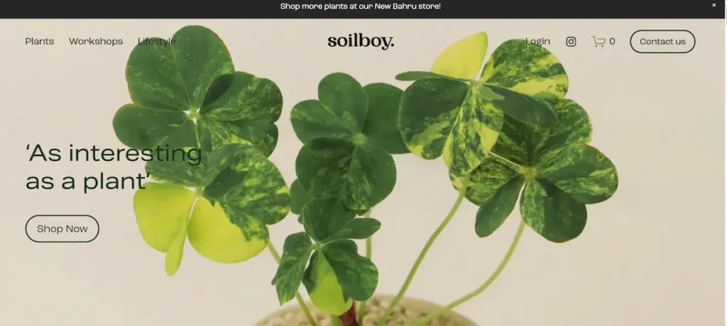 Soilboy