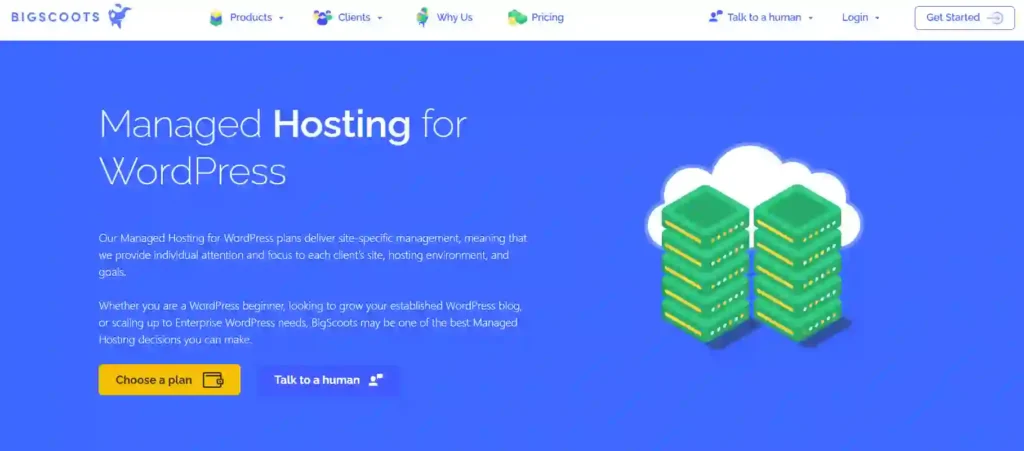 Best Managed WordPress Hosting Providers You Can Trust in 2026 86 Bigscoots