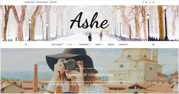 Looking for the Best Free WordPress Blog Themes? Here Are the Ones Worth Using in 2026 87 ashe - blog themes
