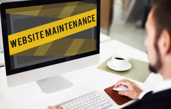 The Ultimate Guide to Managing Outsourced WordPress Projects 80 Website Care and Maintenance