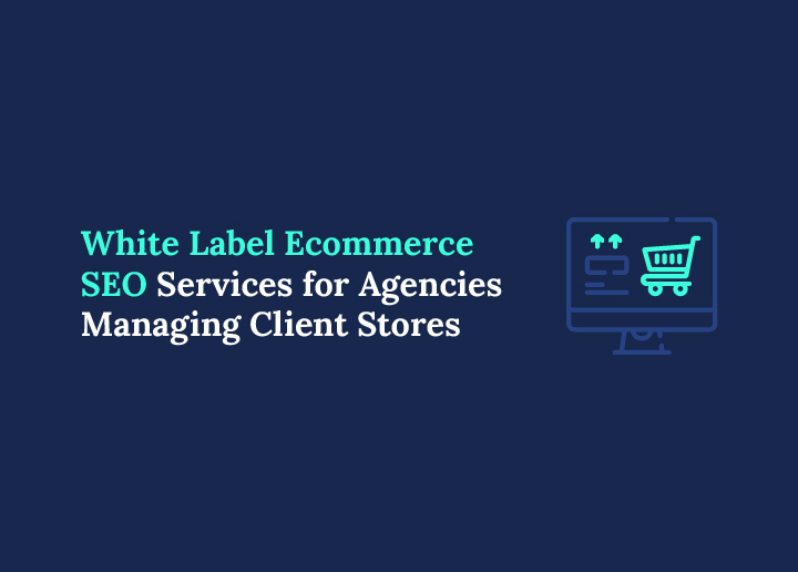 White Label Ecommerce SEO Services for Agencies Managing Client Stores