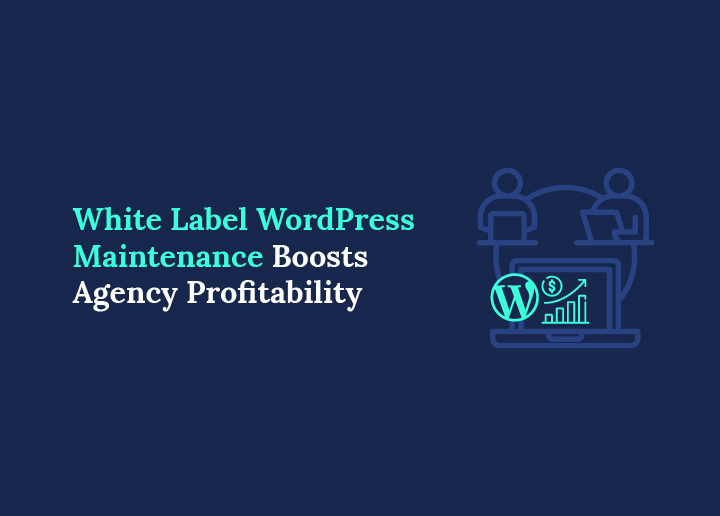 White Label WordPress Maintenance