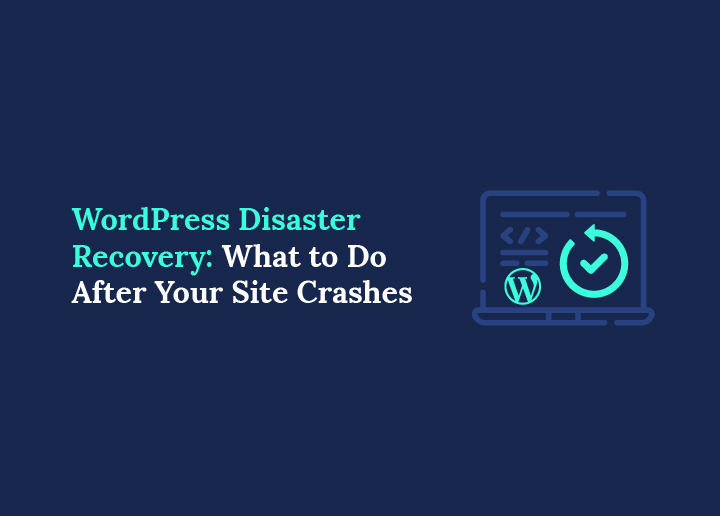 WordPress Disaster Recovery What to Do After Your Site Crashes